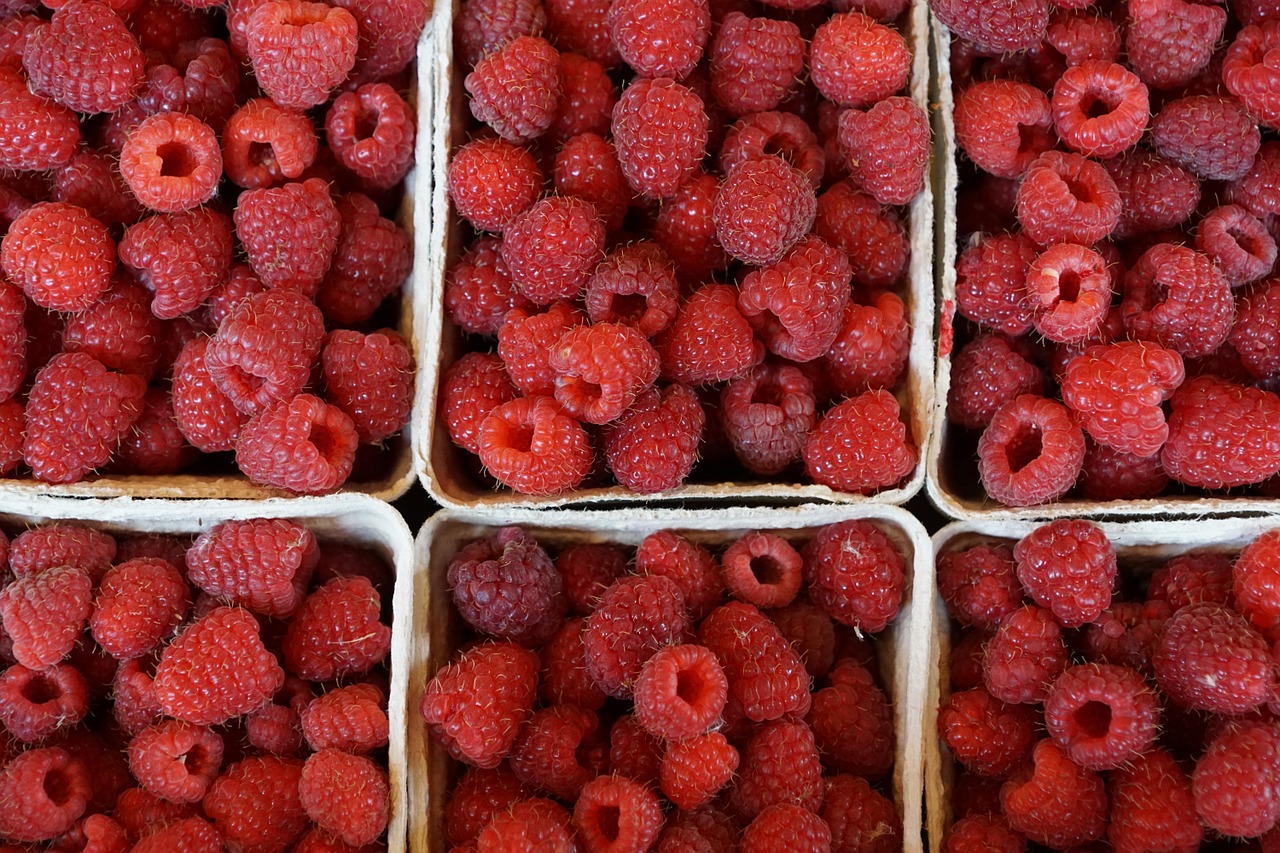 raspberries berries healthy free photo