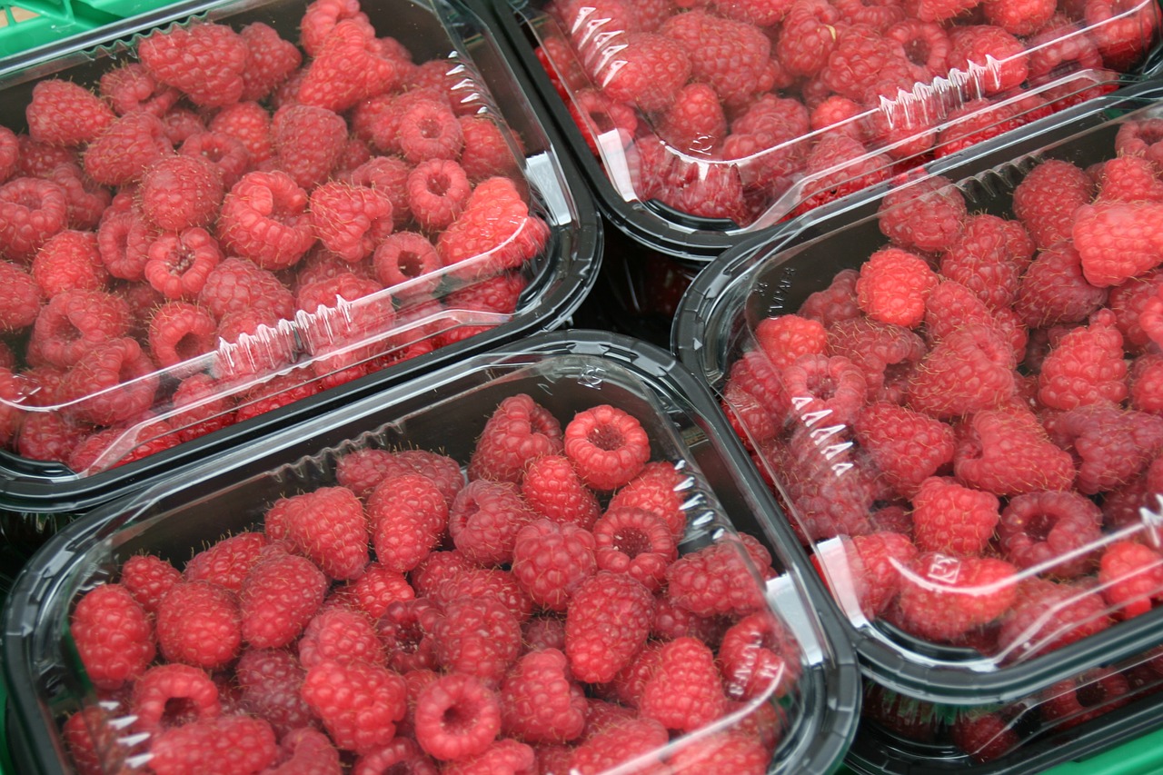 raspberries fruit trays free photo