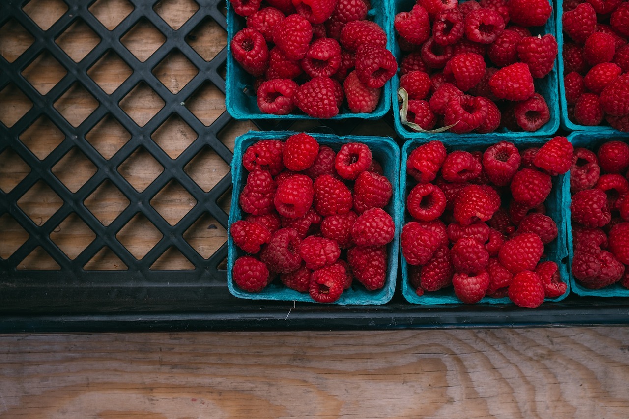 raspberries fruit cartons free photo