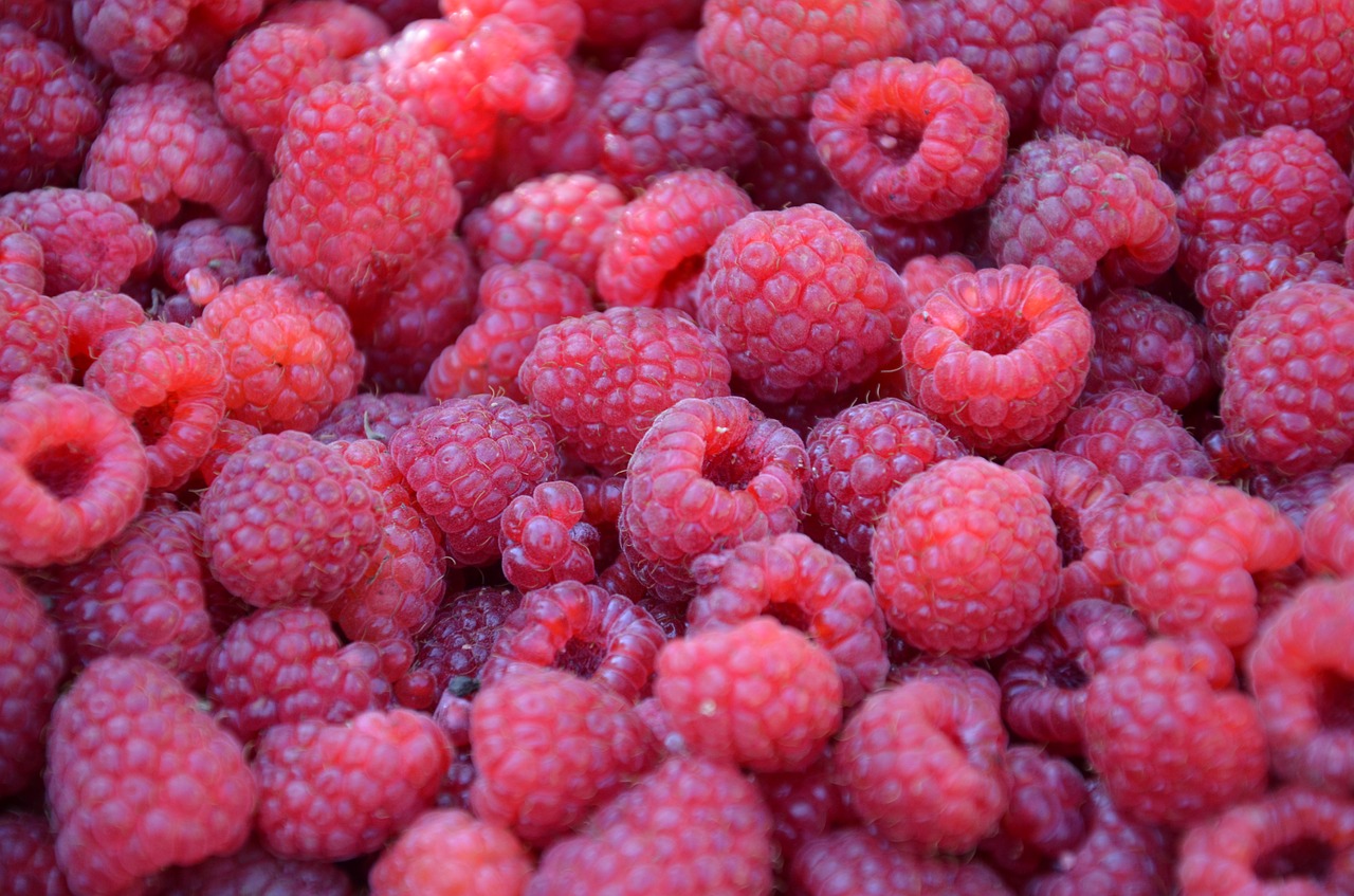 raspberry fruits fresh free photo