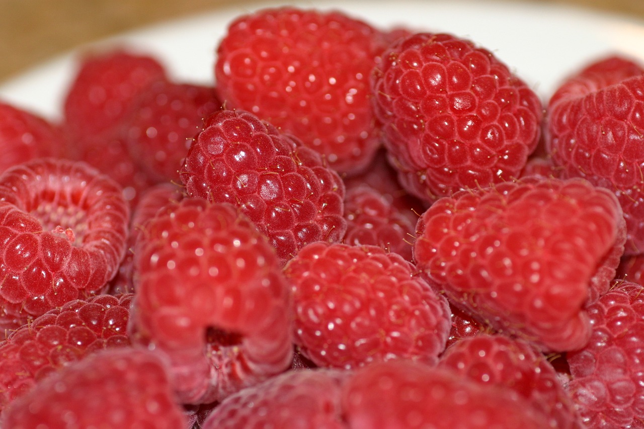 raspberry berries berry free photo