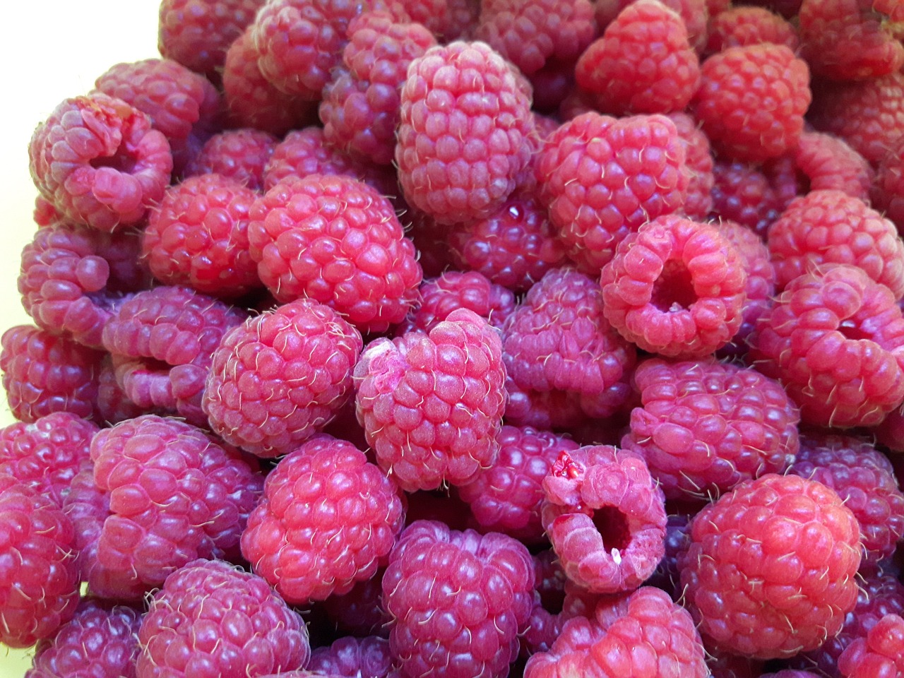 raspberry fruit fruits free photo