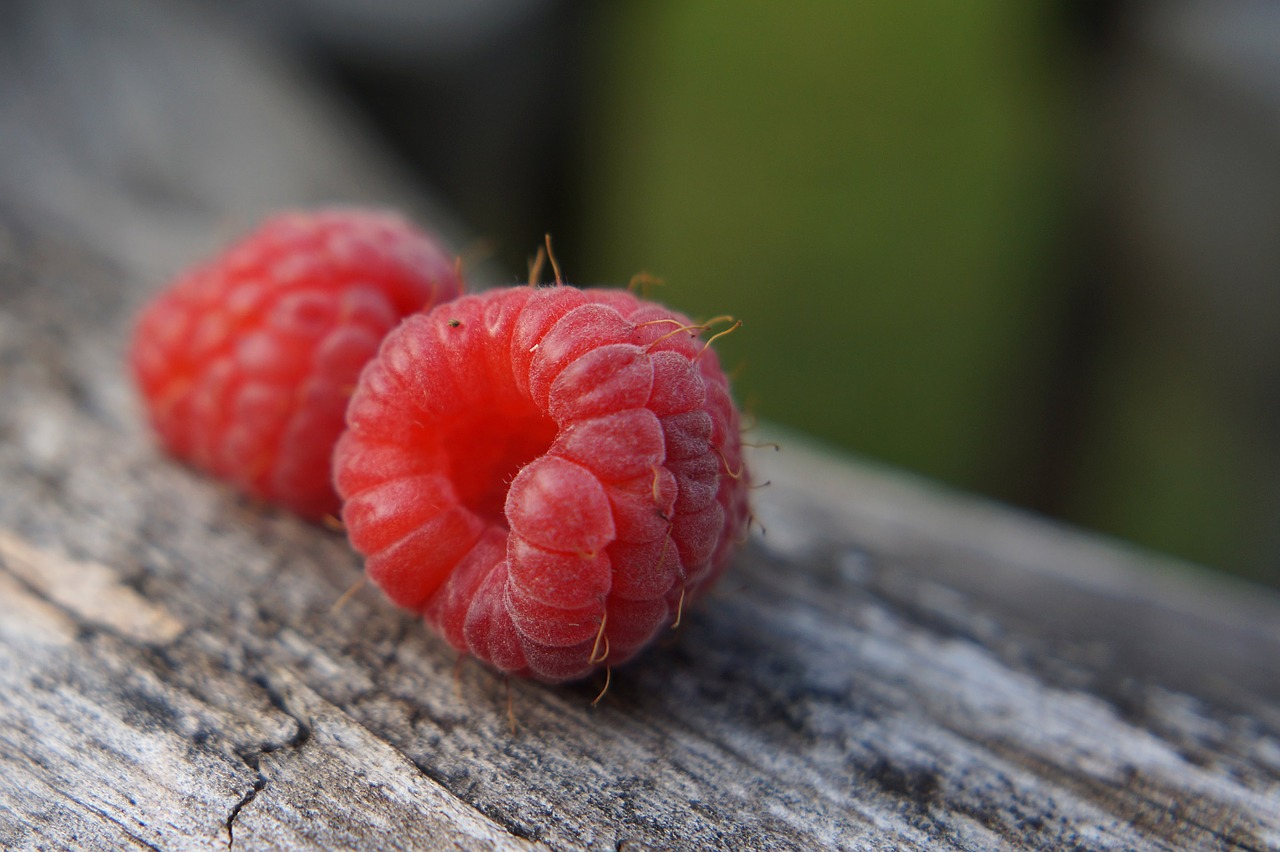 raspberry fruit red free photo