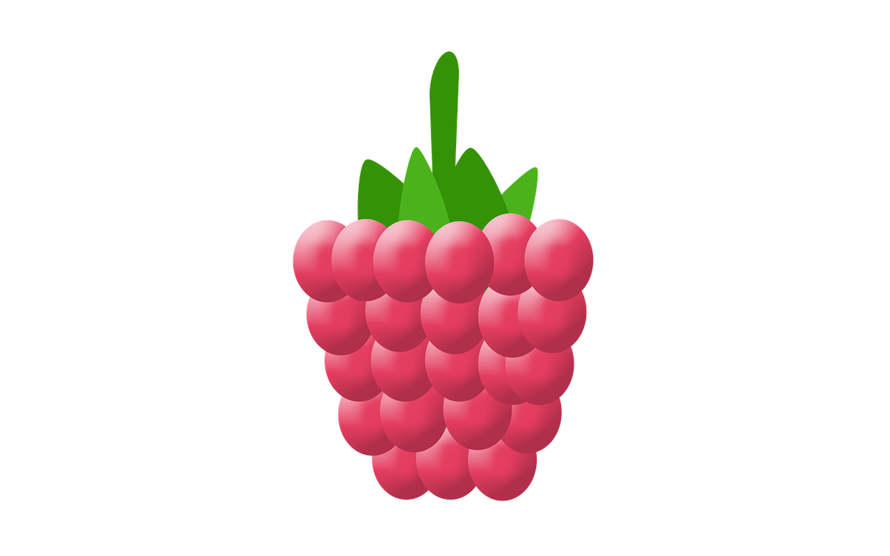 raspberry vector fruit free photo