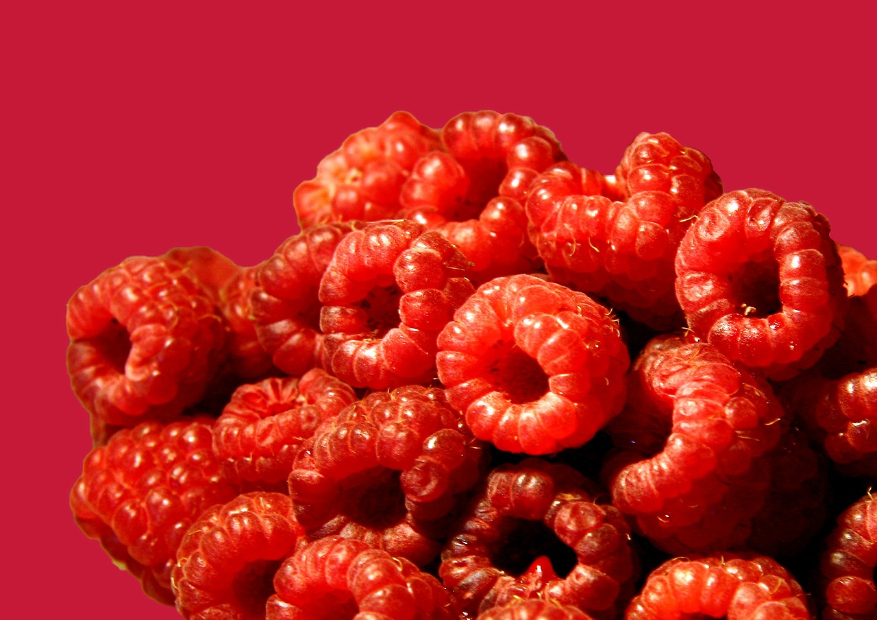 raspberry raspberry cake raspberries free photo