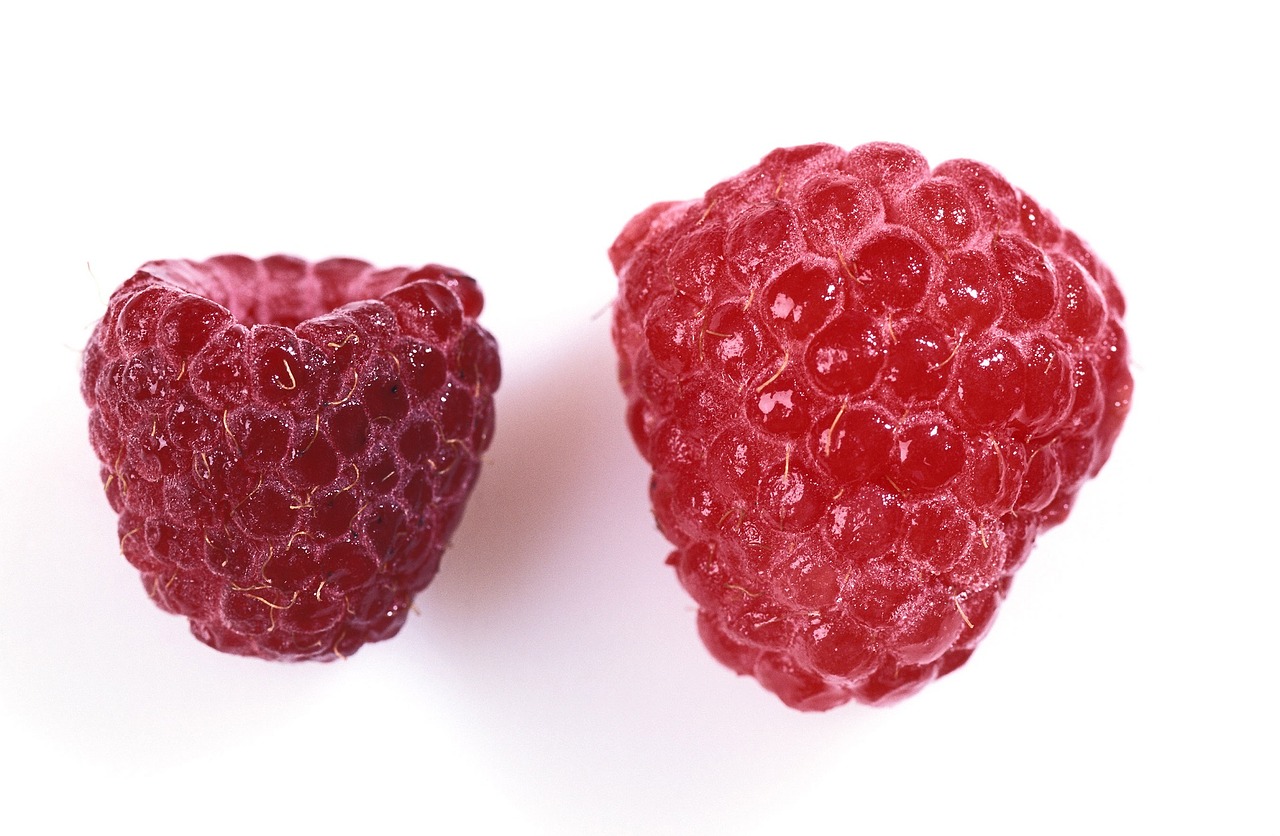 raspberry berry fruit free photo