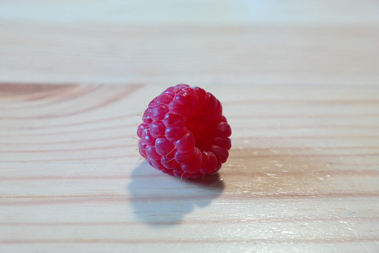 raspberry fruit berry free photo