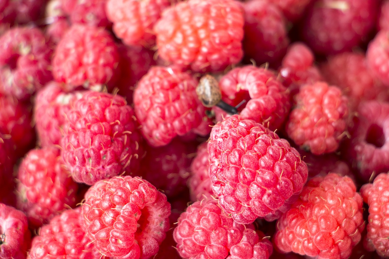 raspberry background fresh free photo