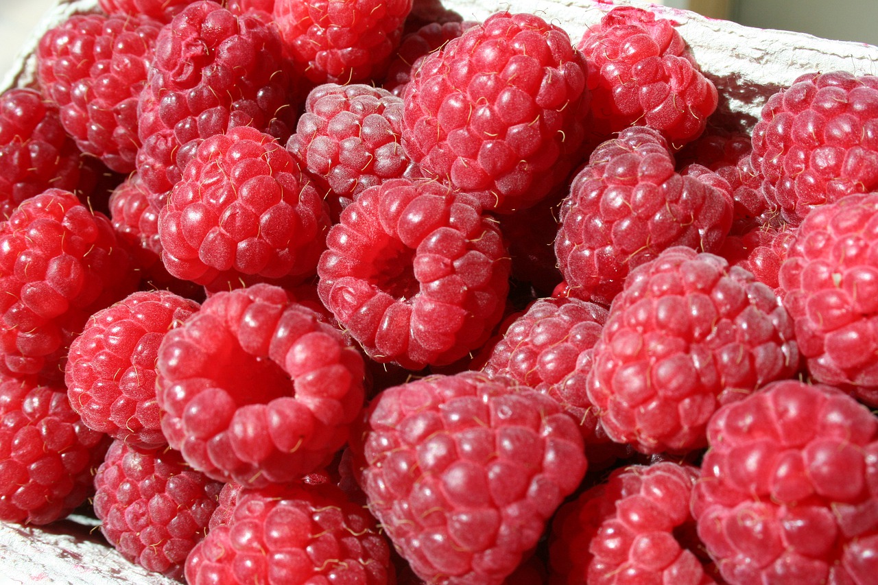 raspberry dessert fruit free photo