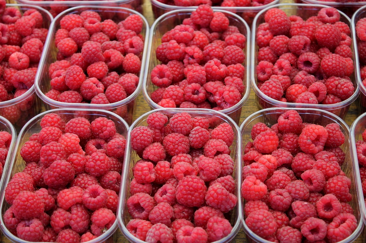 raspberry fruit berry free photo