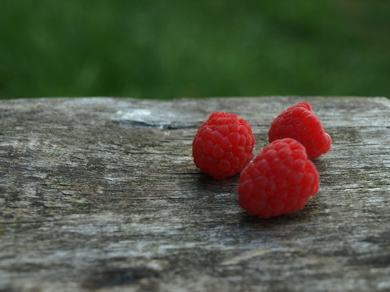 raspberry  macro free pictures free photo