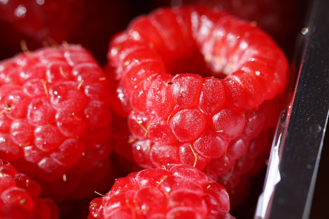 raspberry  macro  vitamin free photo