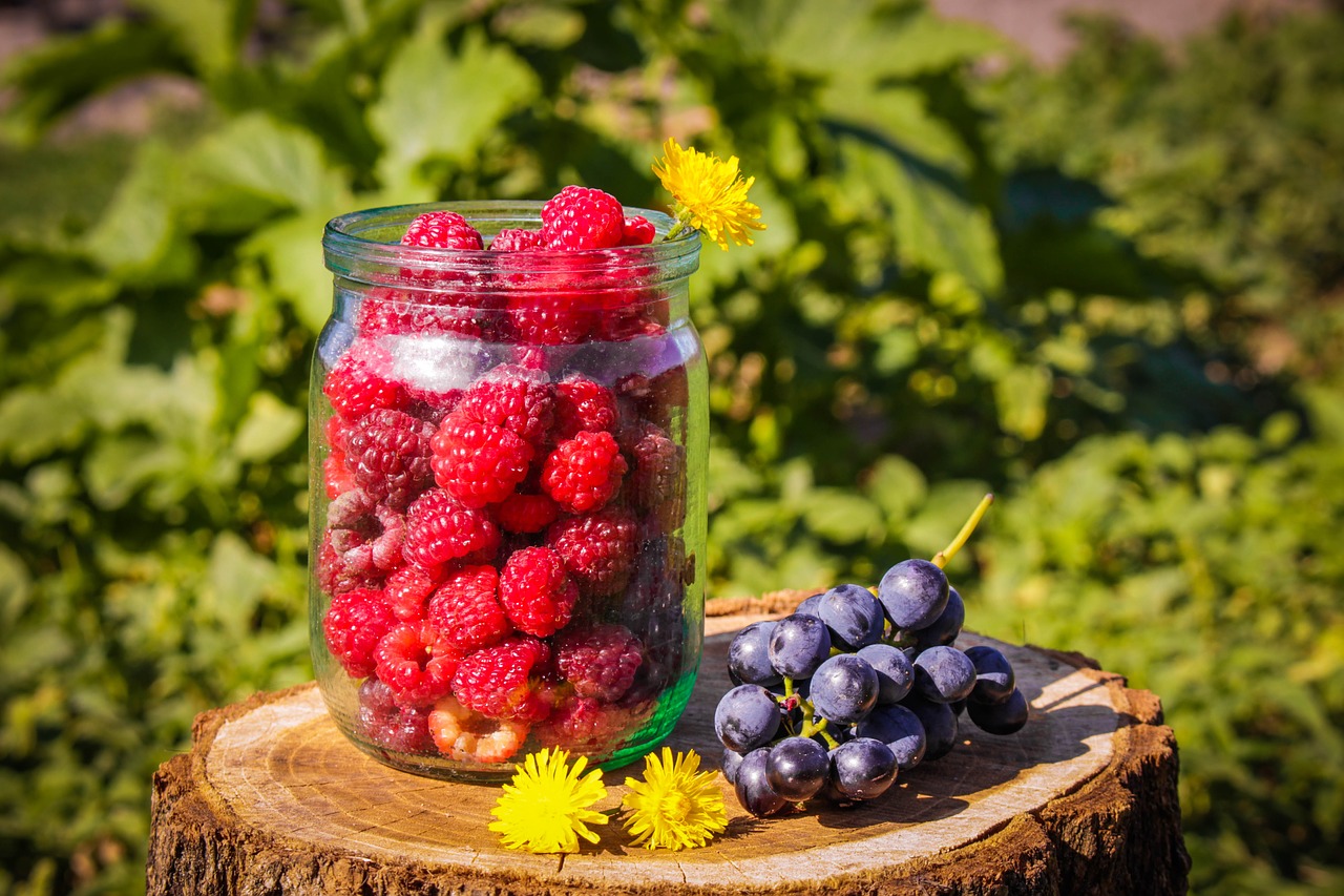 raspberry  summer  red free photo