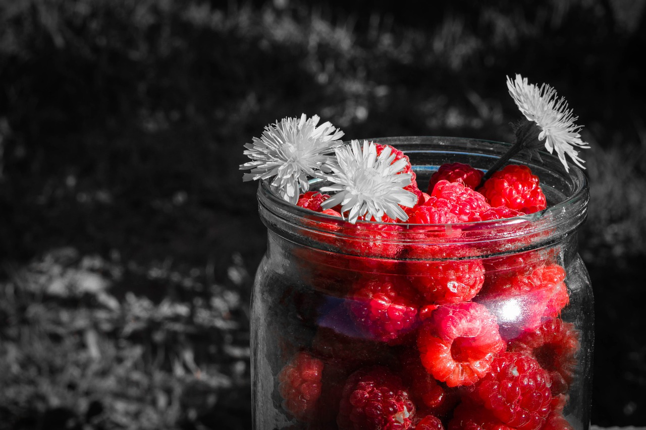raspberry  berry black  grey free photo