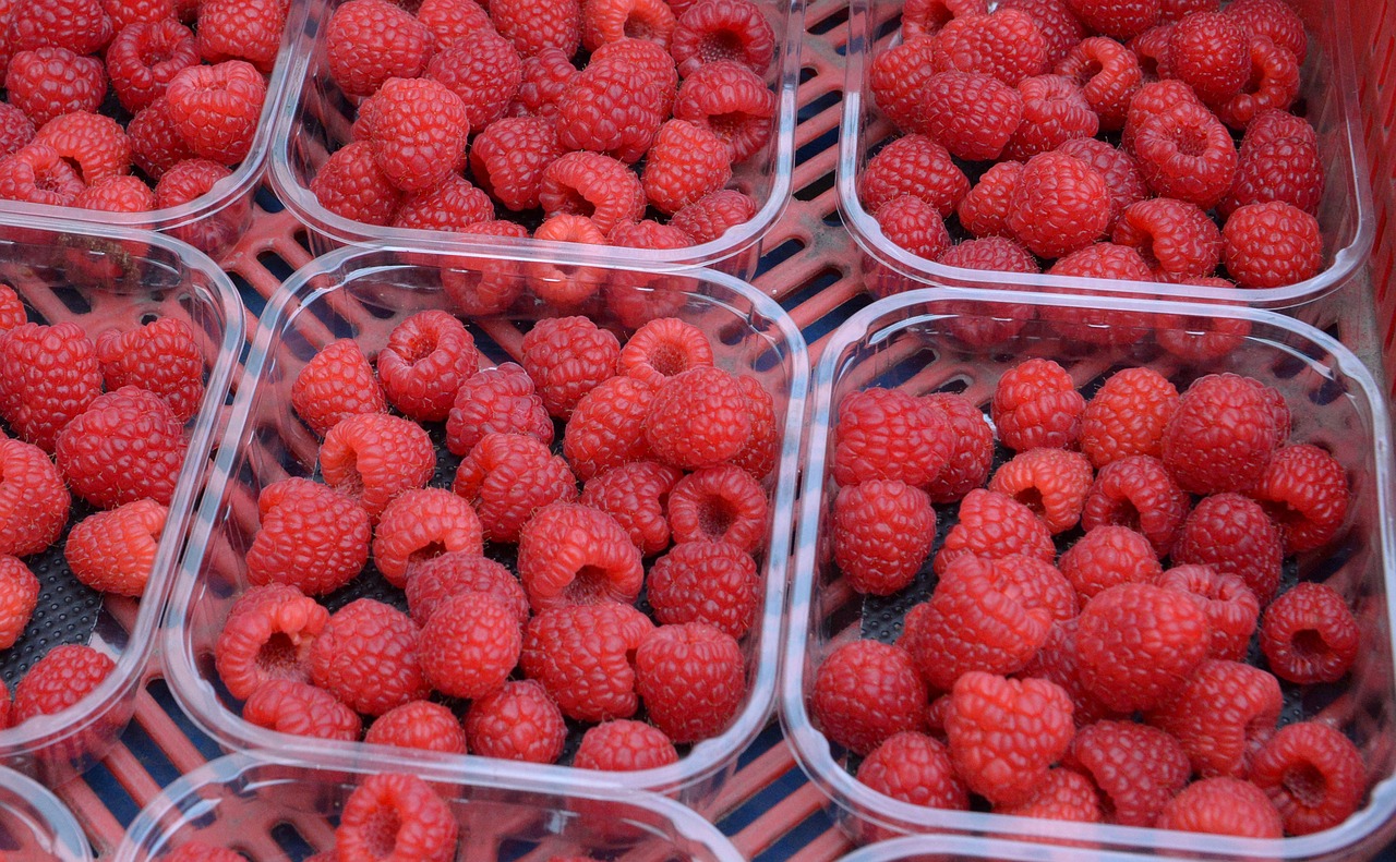 raspberry  raspberries  fruits free photo