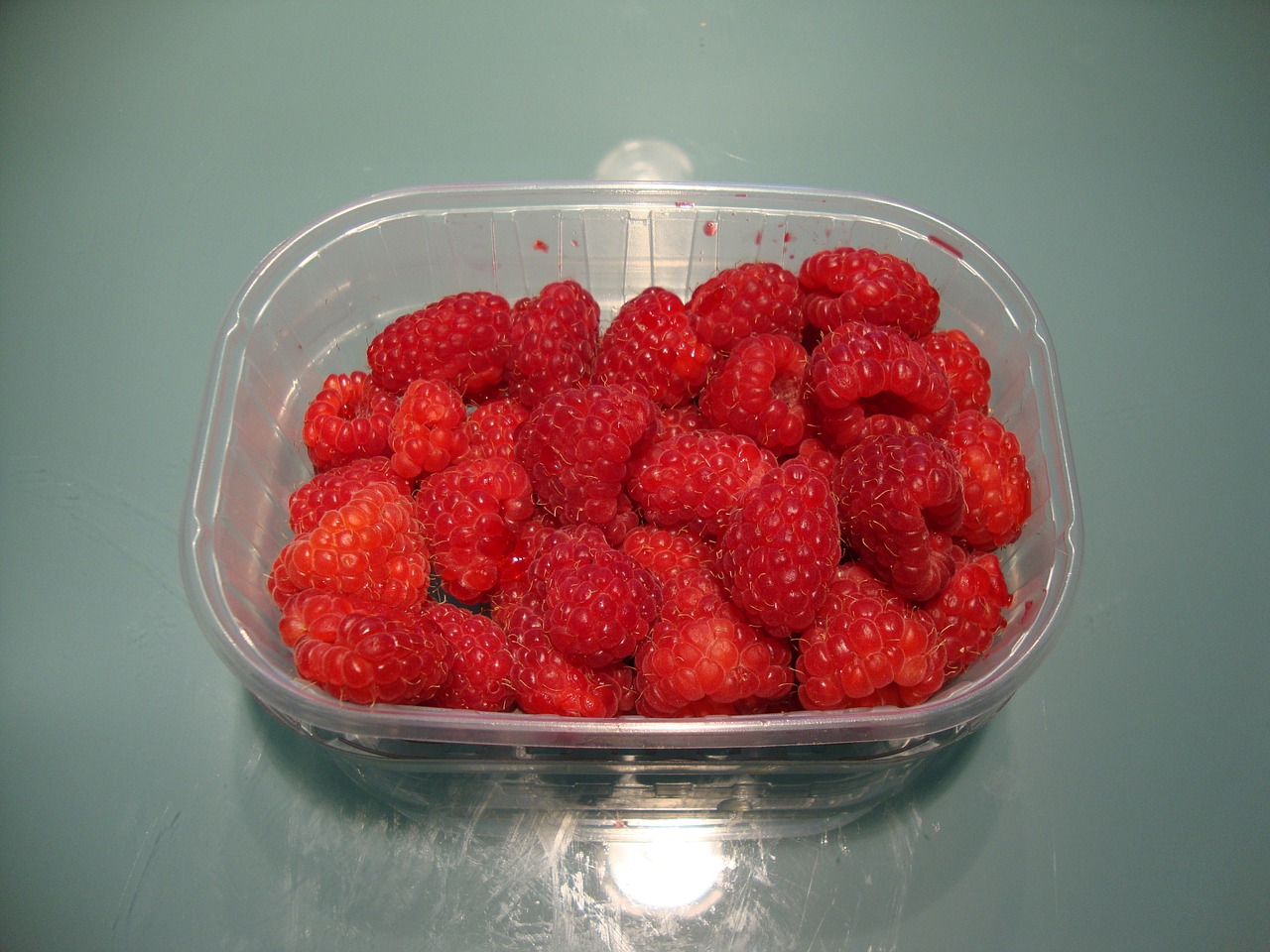 raspberry food nutrition free photo