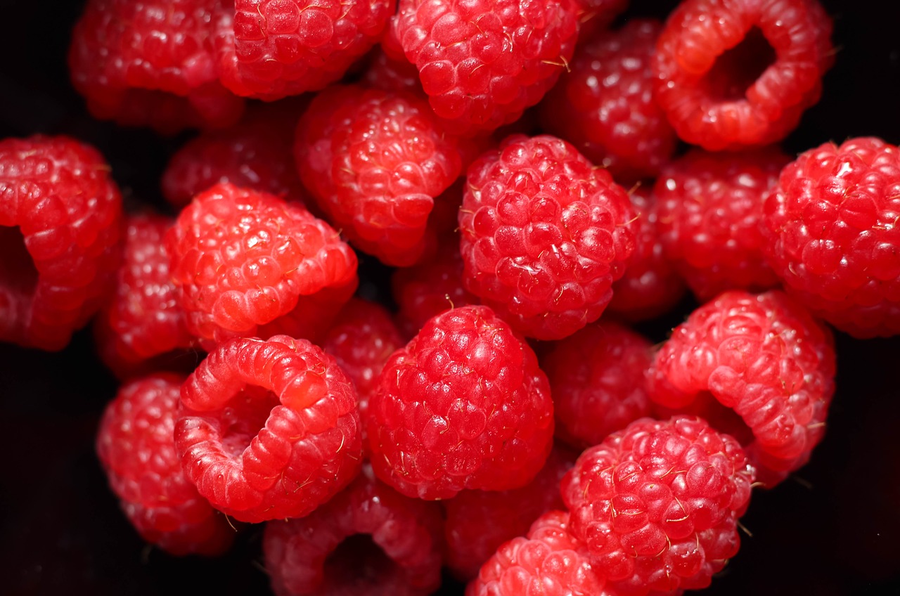 raspberry  berry  nutrition free photo