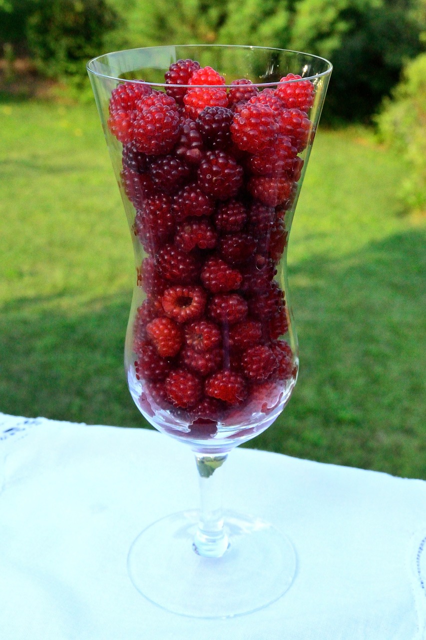 raspberry dessert fruit free photo