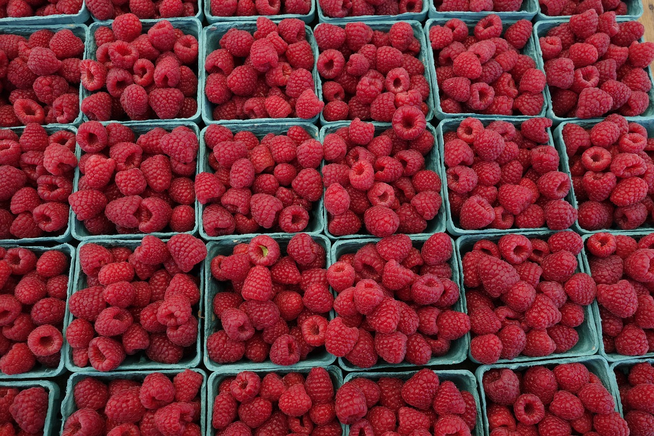 raspberry food berry free photo