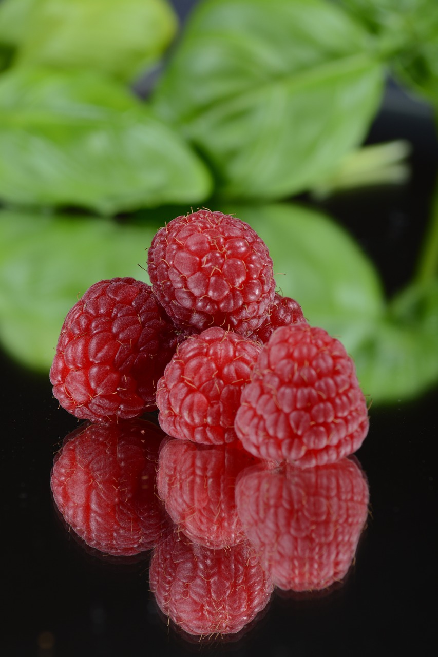 raspberry fruit mirror free photo