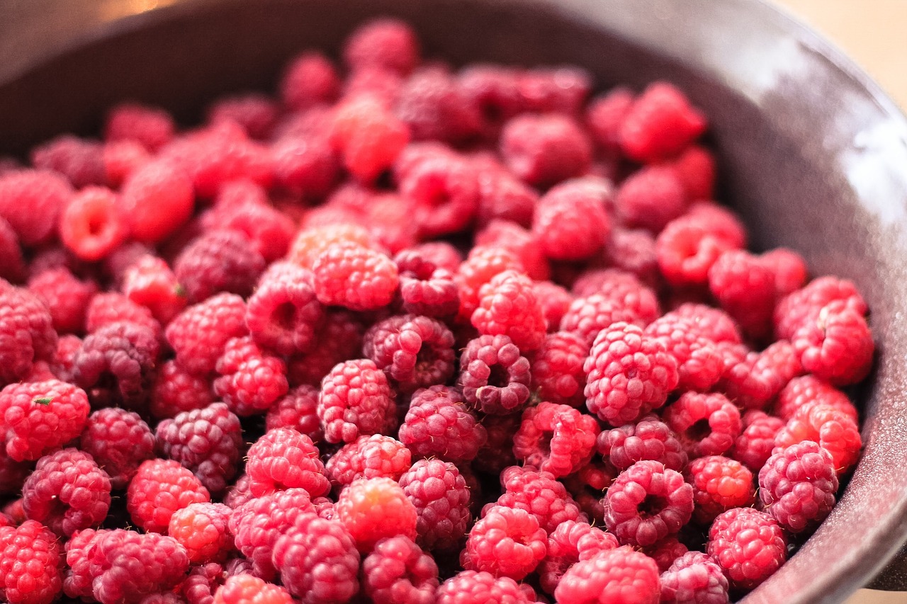 raspberry raspberries fruits free photo