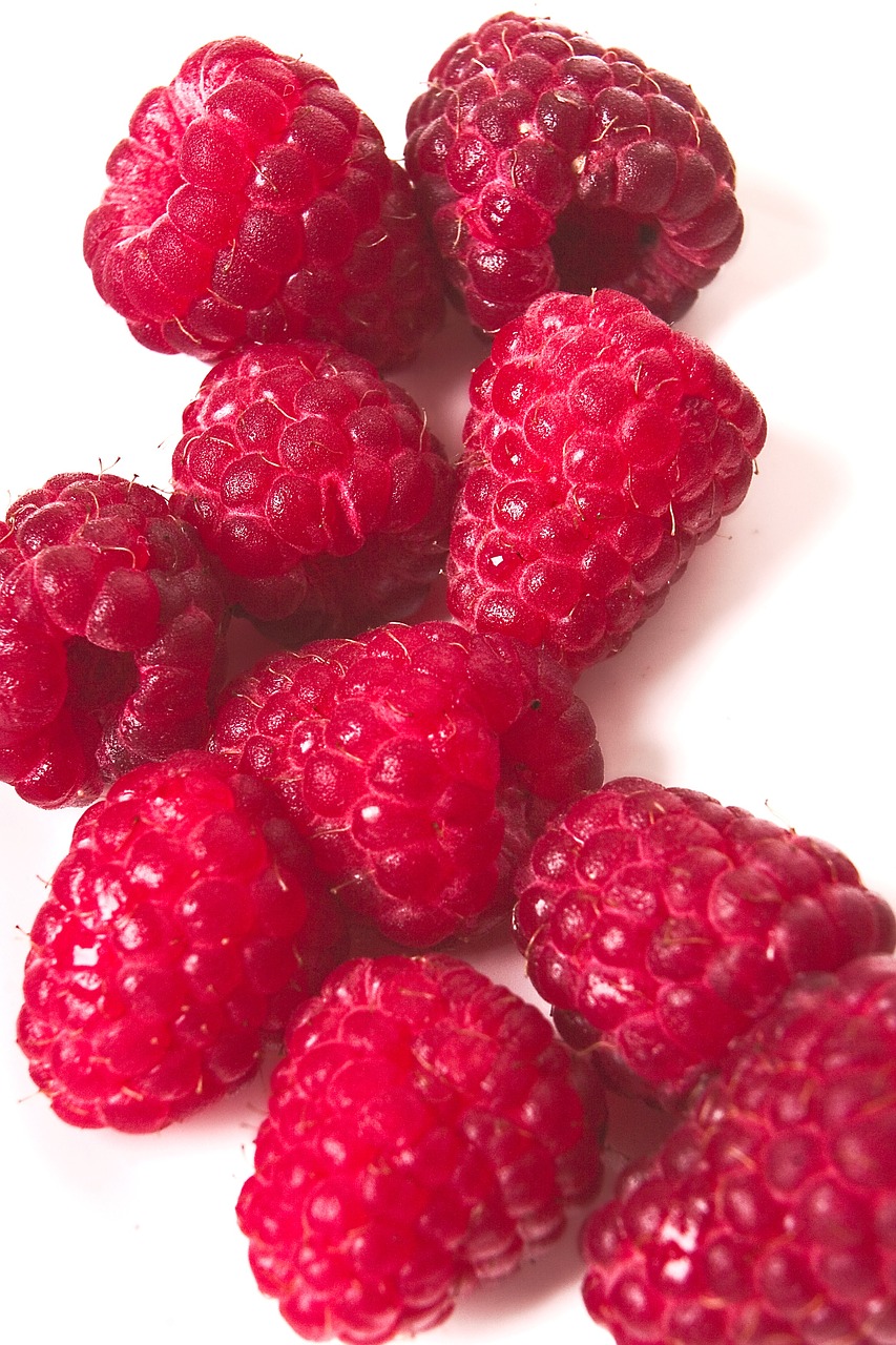 raspberry berry juices free photo