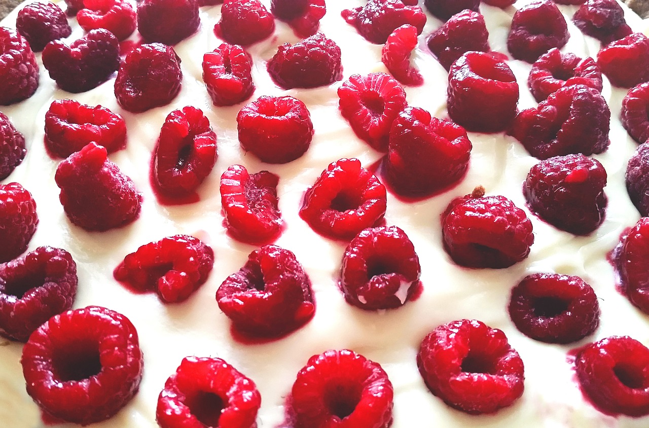 raspberry cake dessert free photo