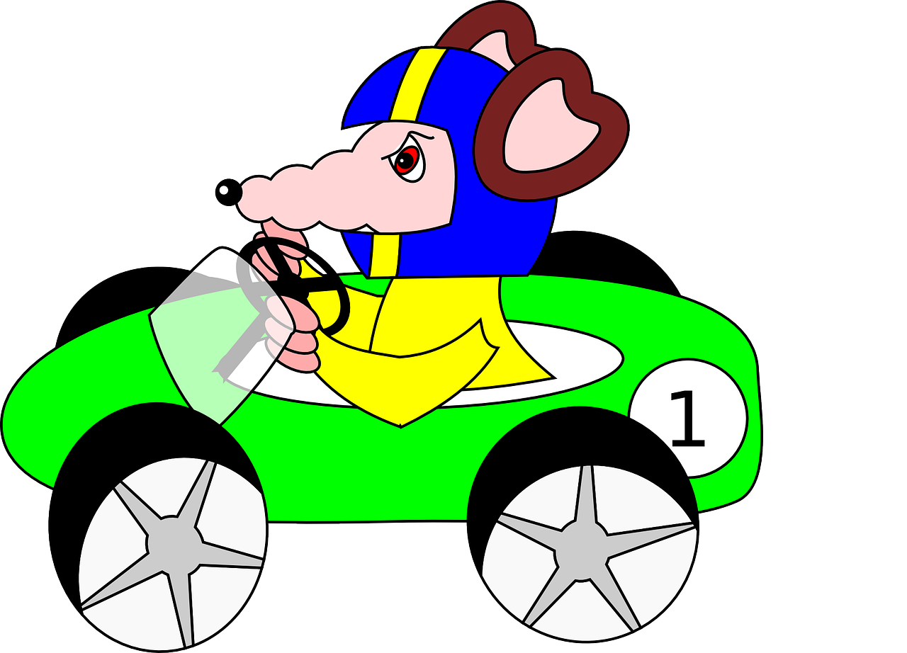 rat car racing car free photo