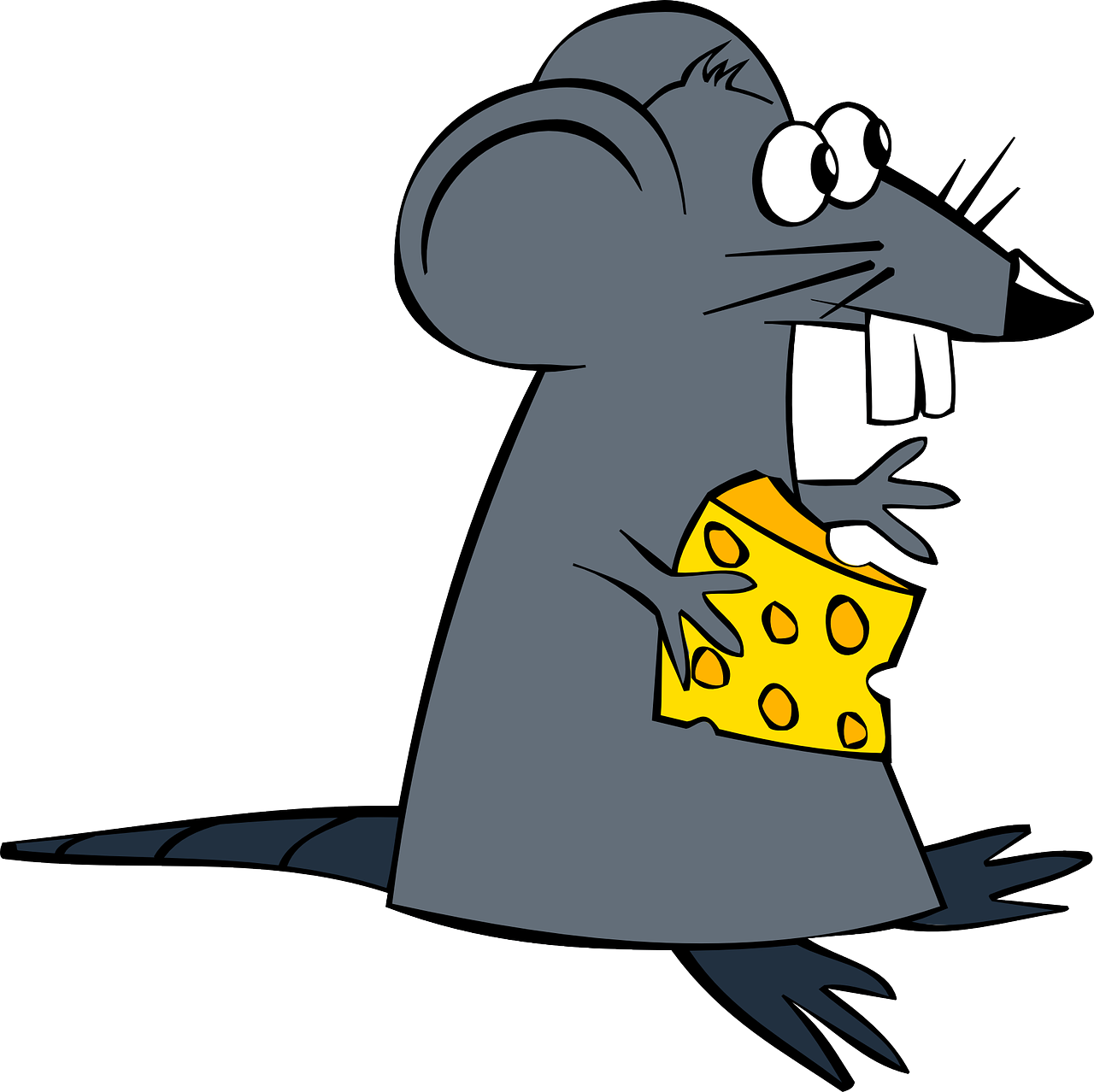 rat mouse cheese free photo