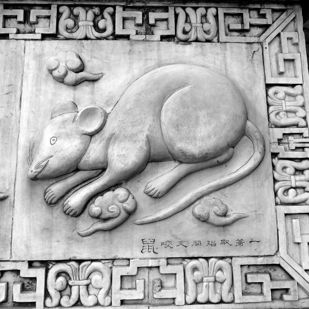 rat chinese symbol free photo