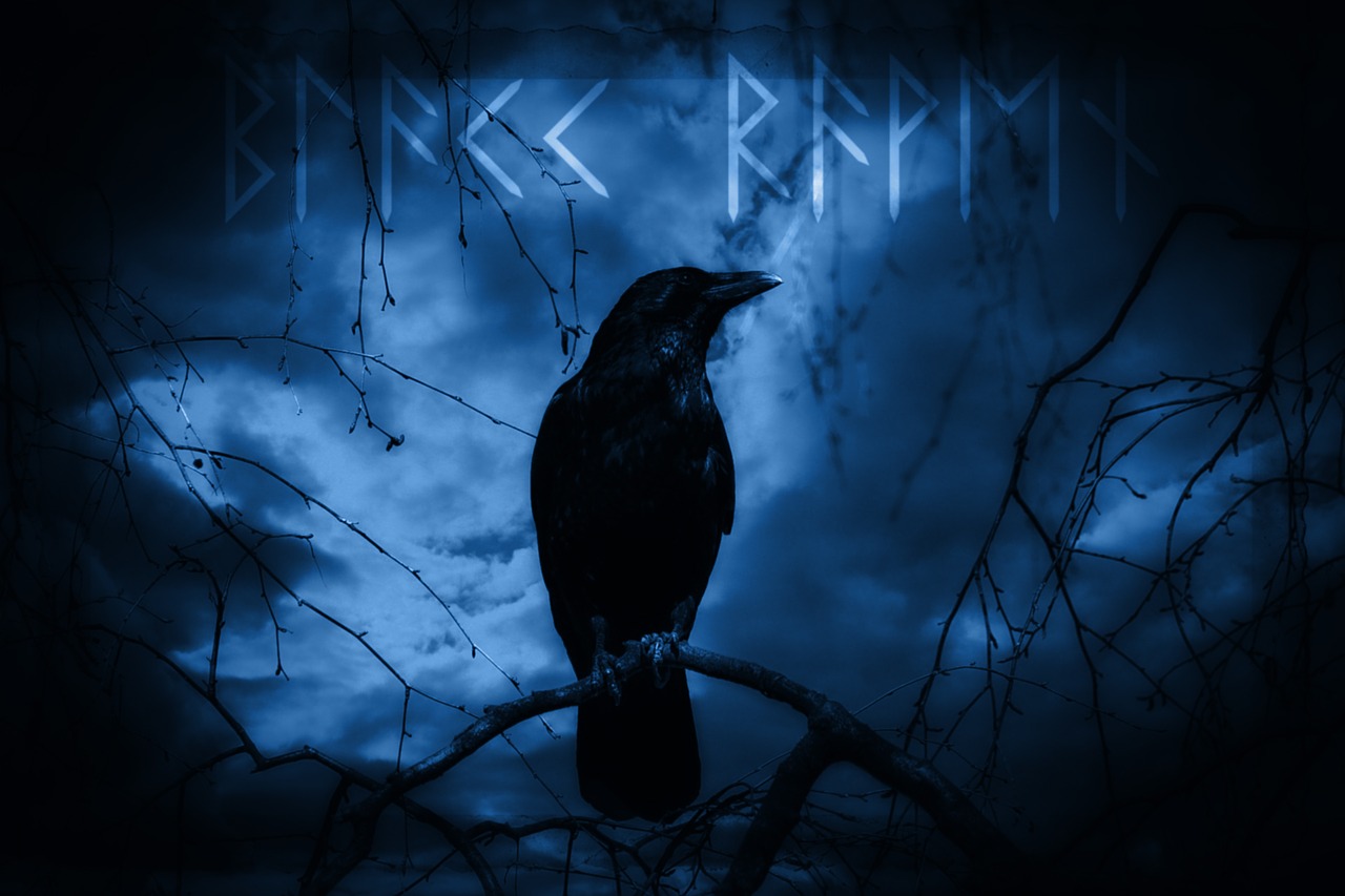 raven dark mystical free photo