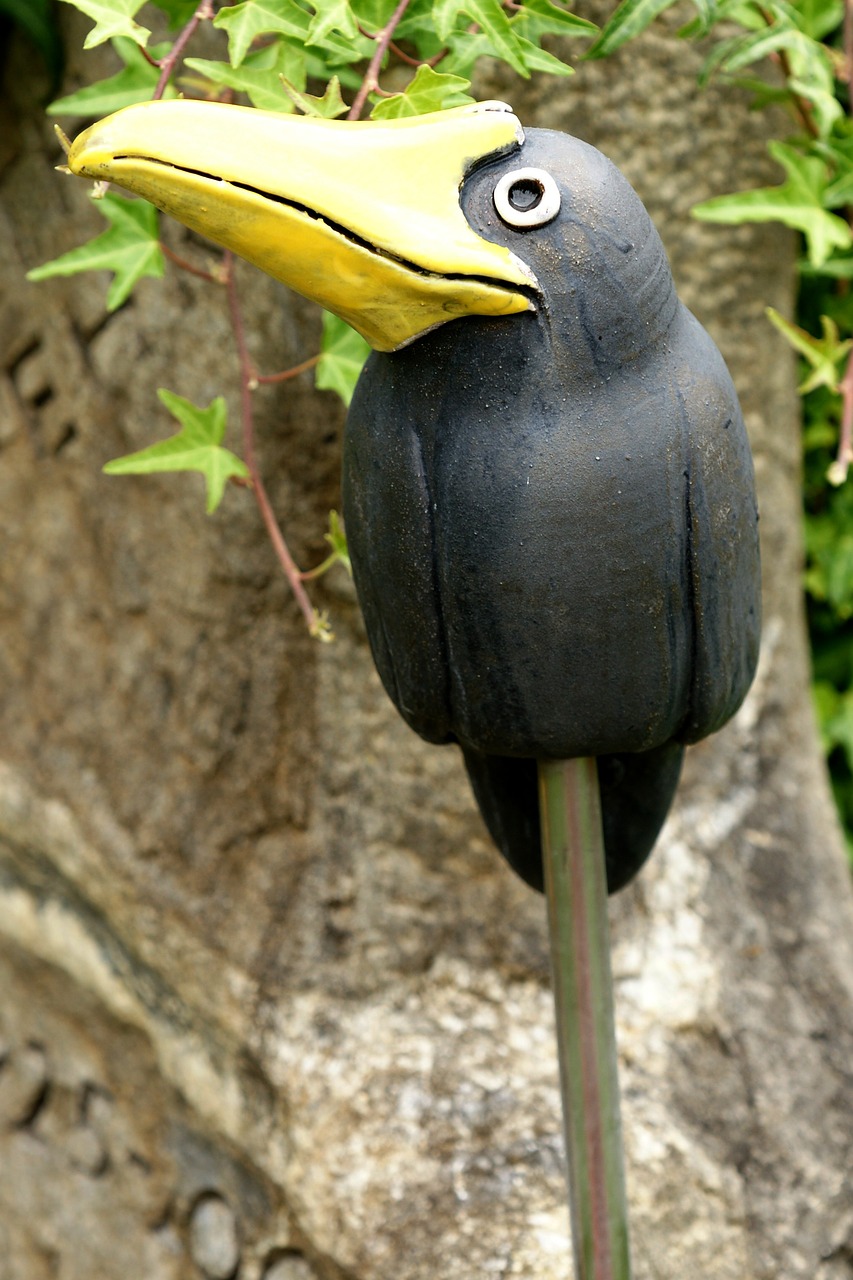 raven crow deco free photo