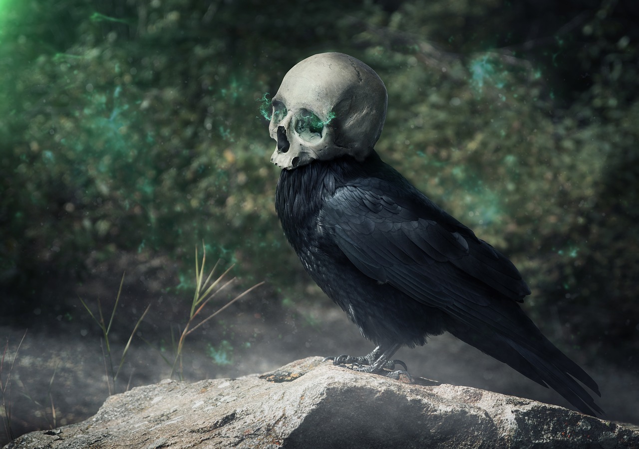 raven  crow  black free photo