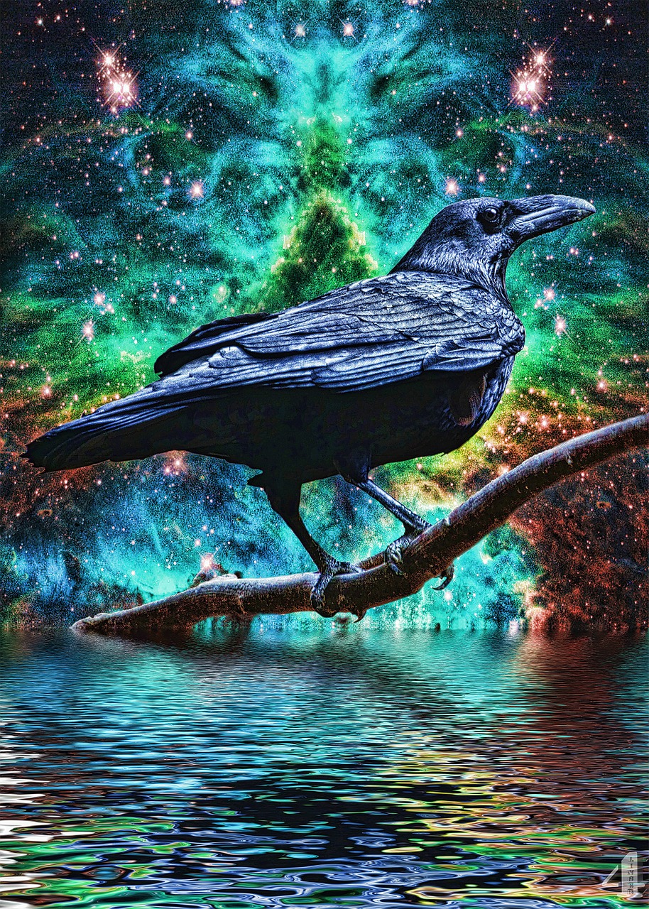 raven fantasy surreal free photo
