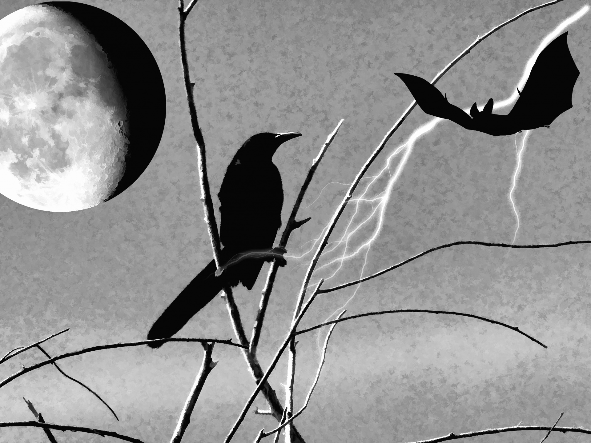 halloween hallow eve raven free photo