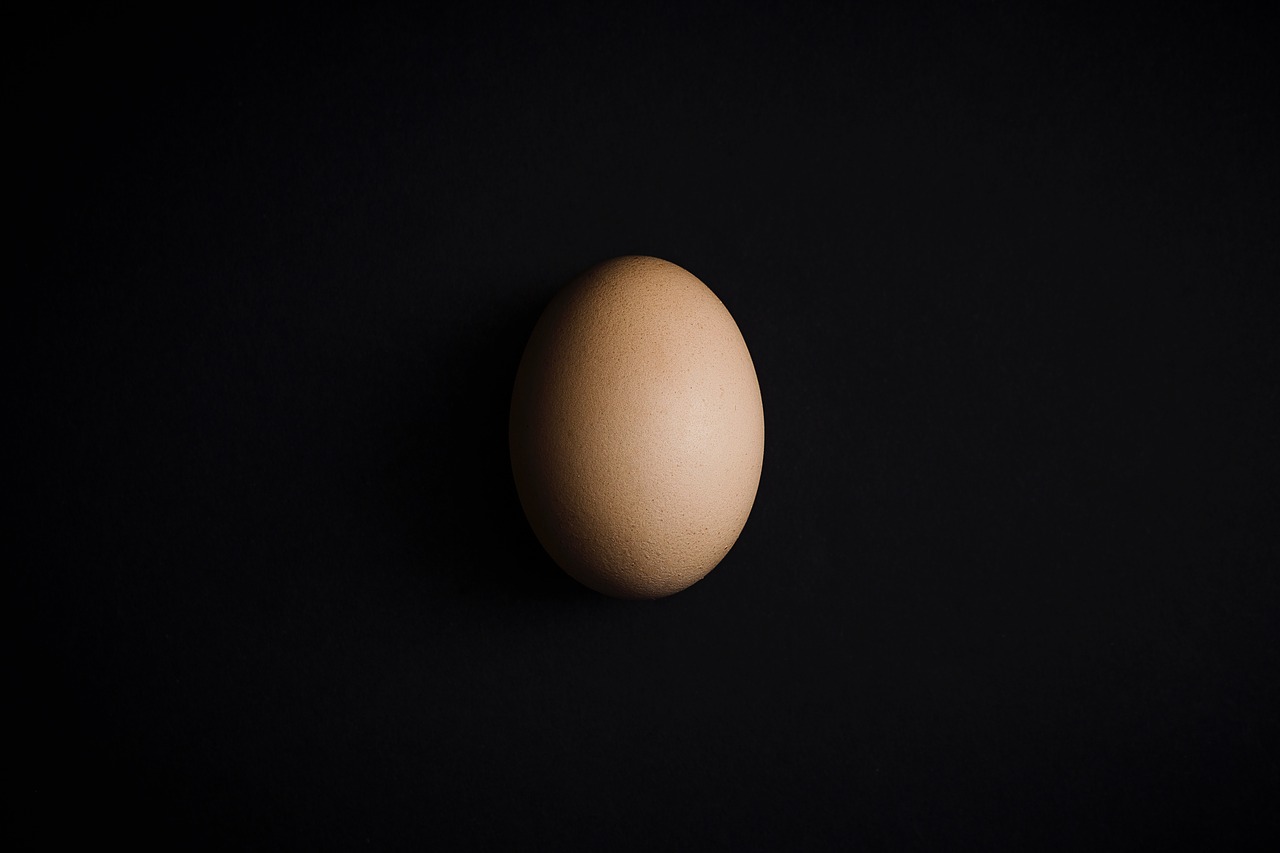 raw egg shell free photo