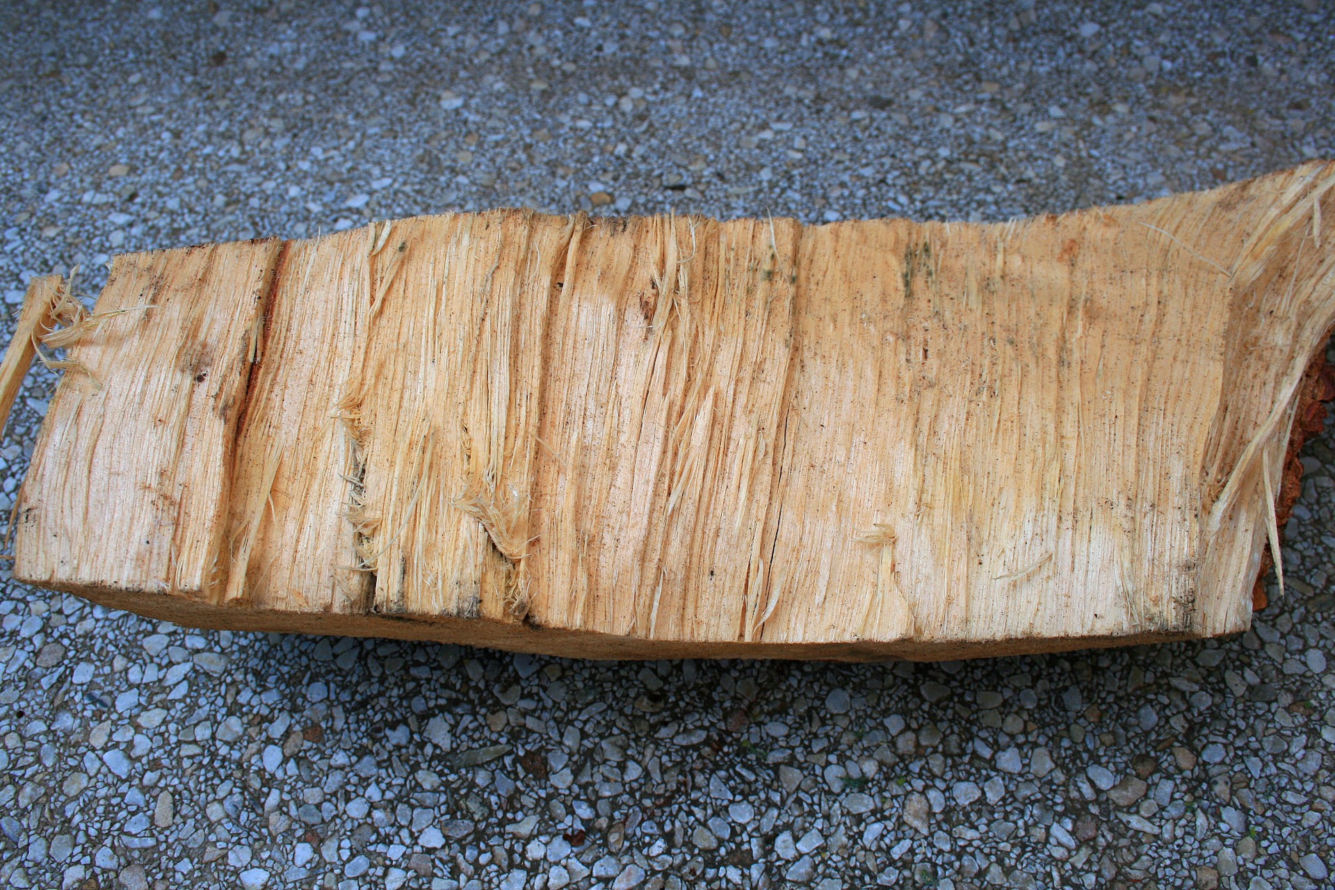 wood chopped wedge free photo