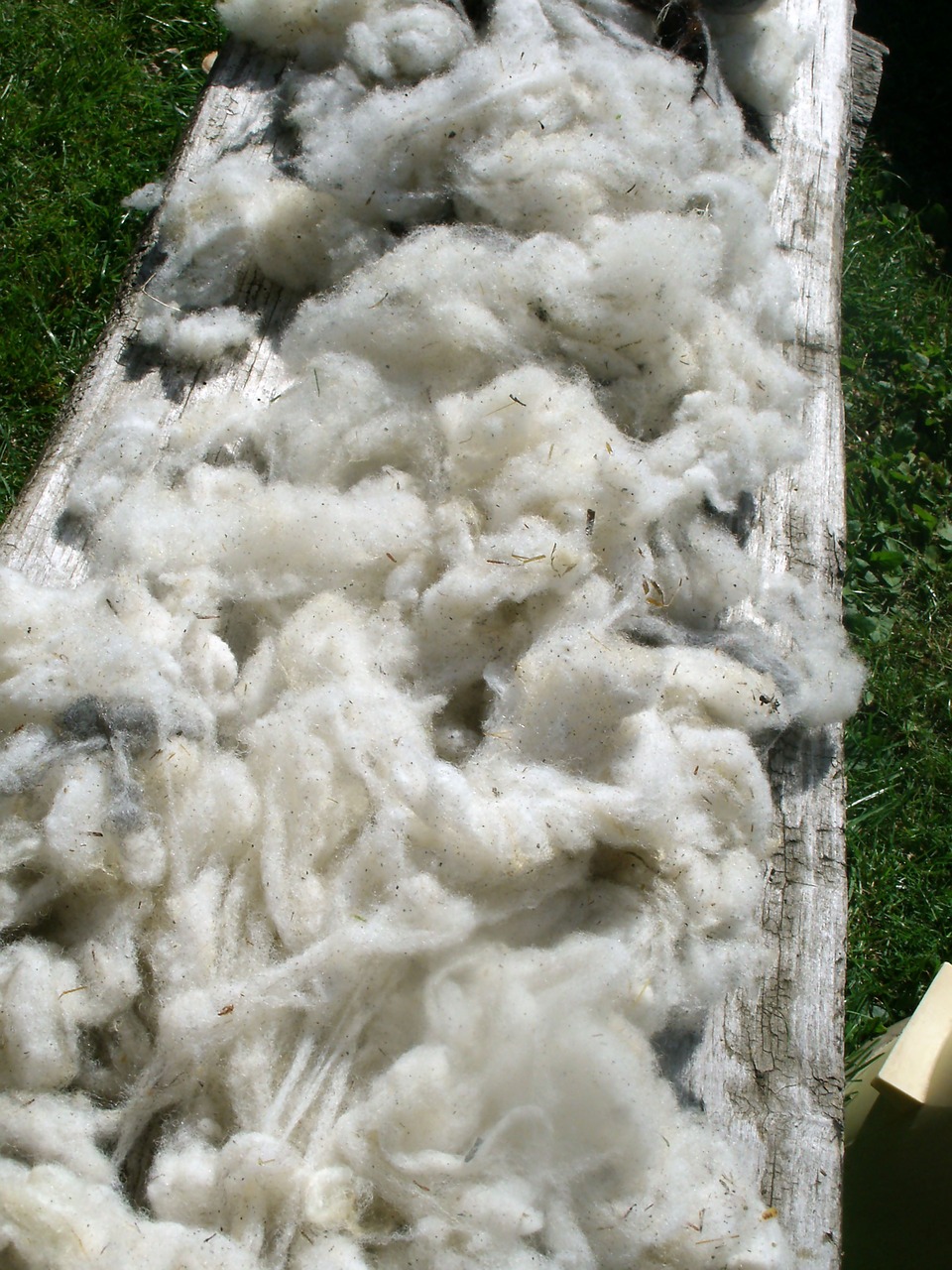 raw wool pure new wool sheep's wool free photo