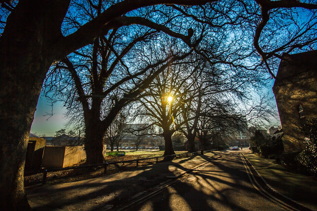 reading england shadows free photo