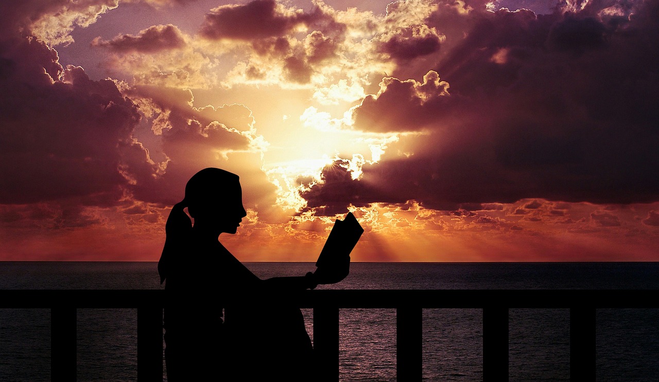 reading  woman  dusk free photo