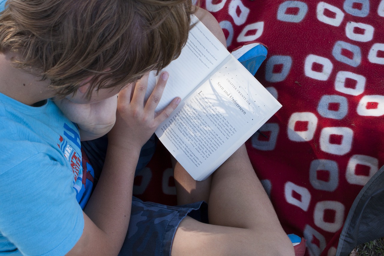 reading  picnic  summer free photo