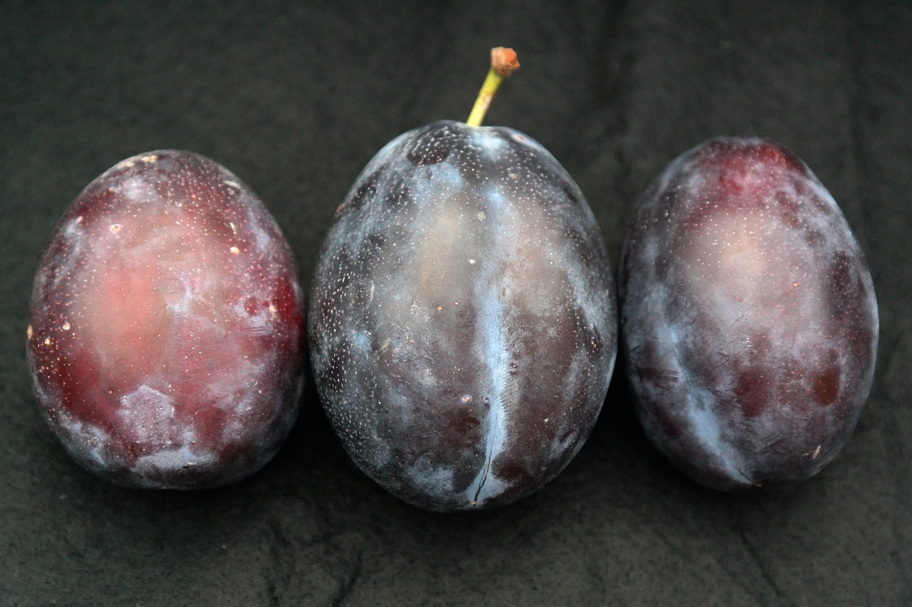 real plum plum fruit free photo