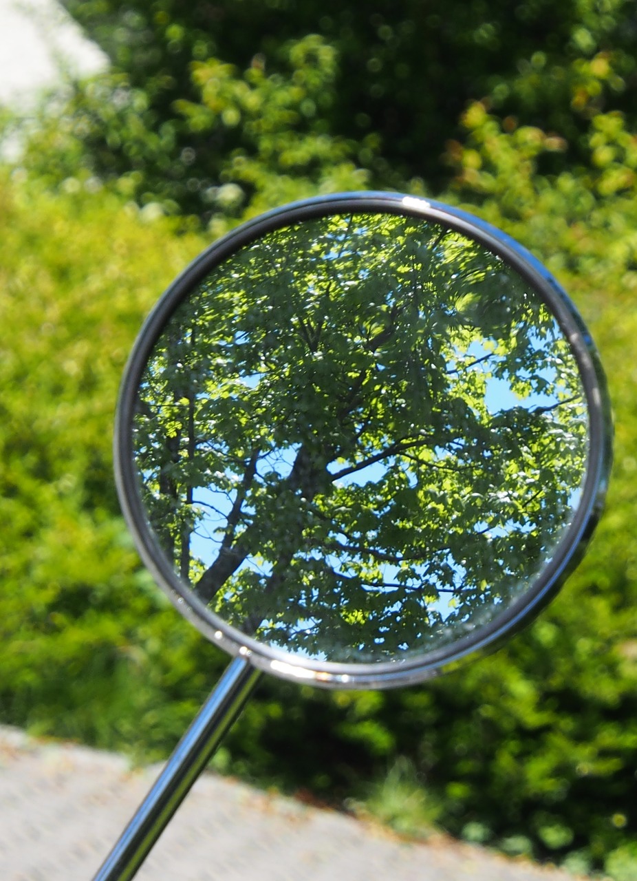 rear mirror  nature  tree free photo