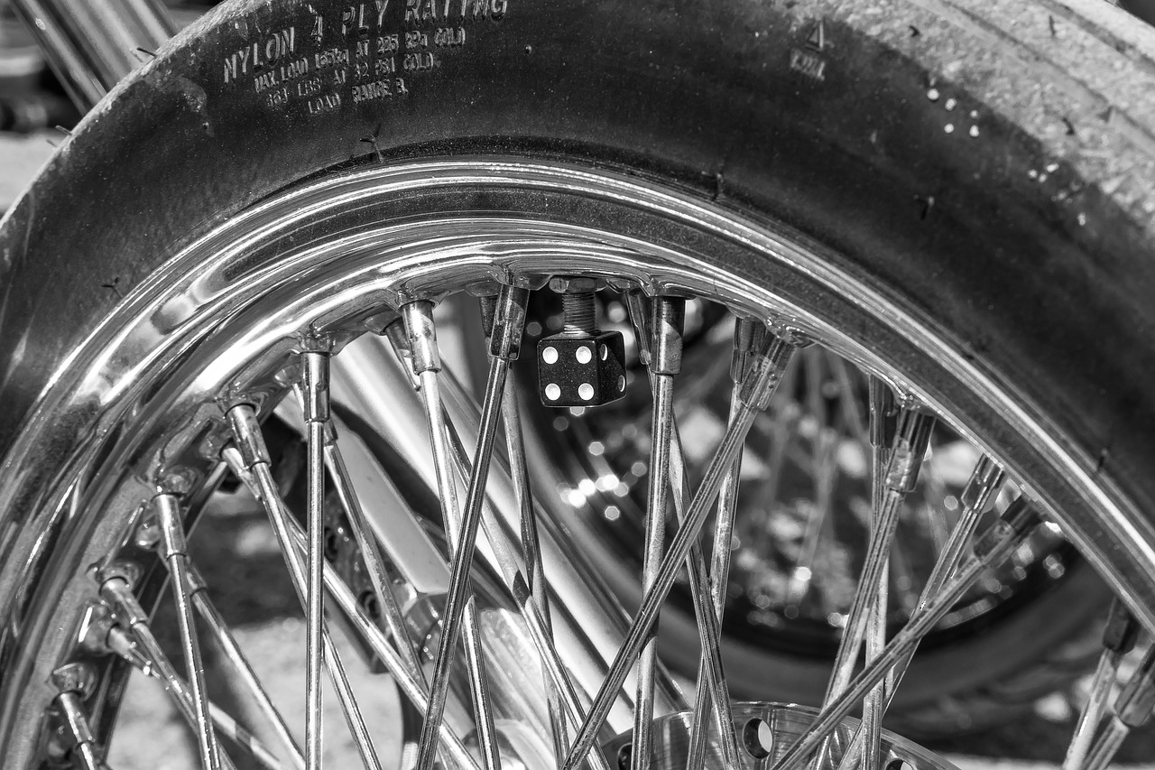 rear tire dice spoke free photo
