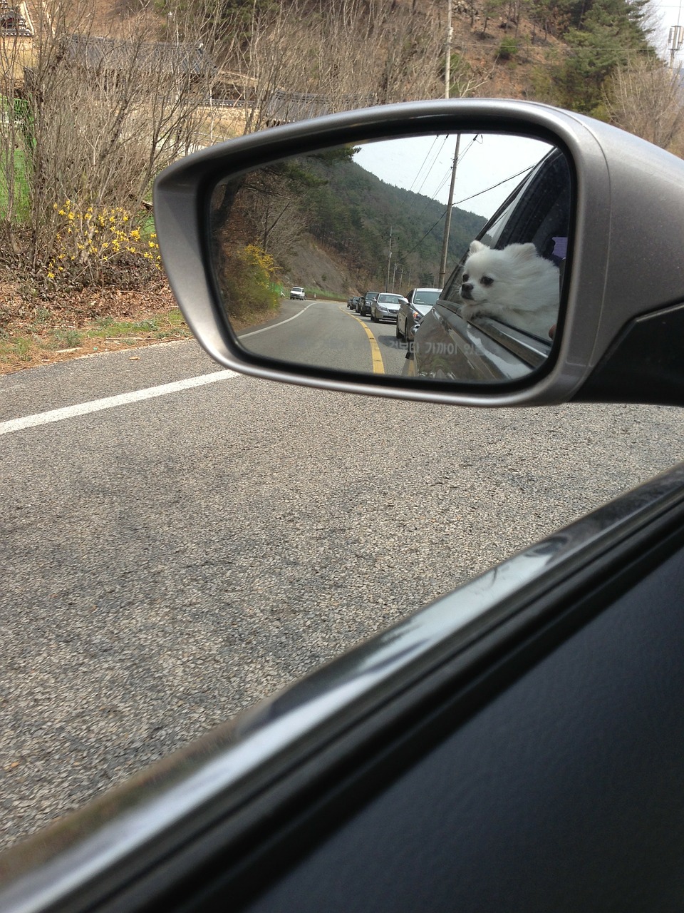 rear-view mirror mirror car free photo