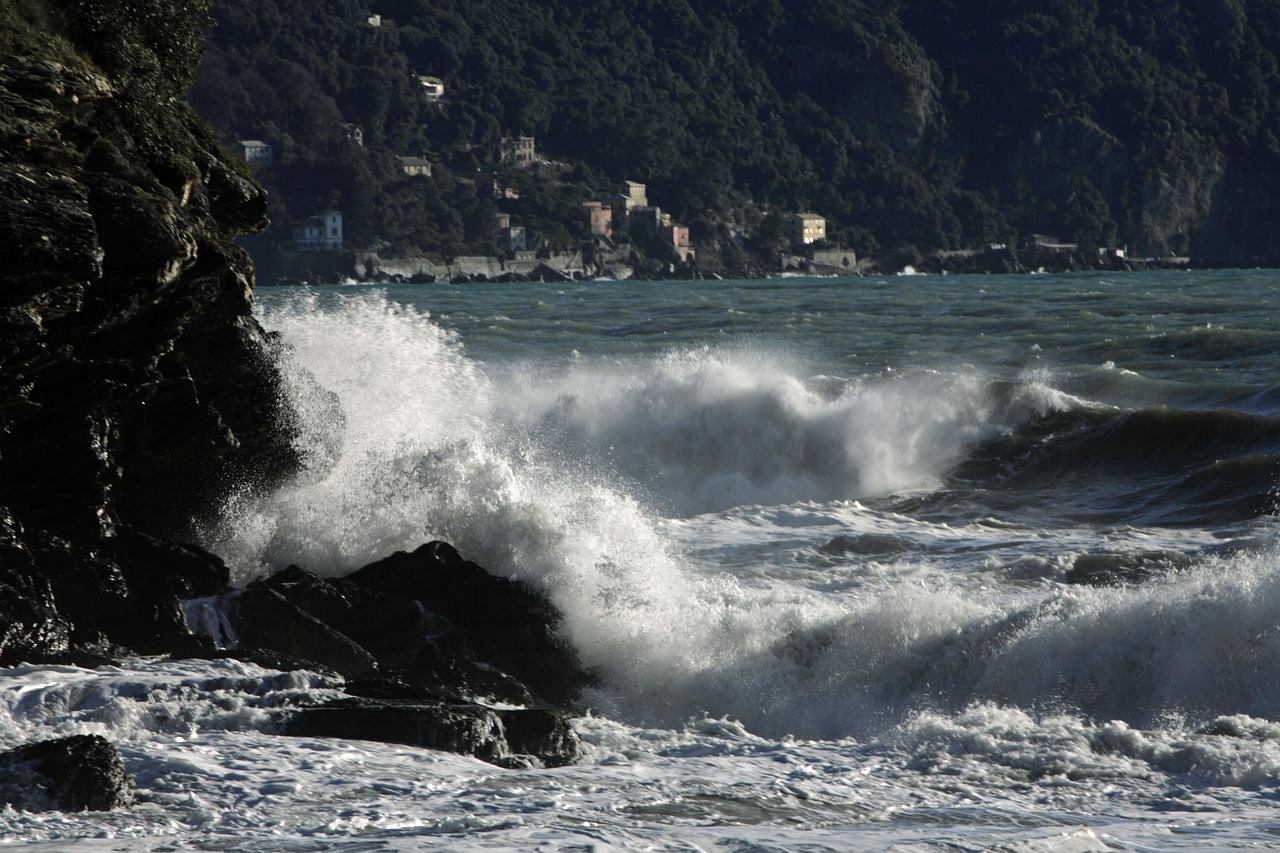 recco  liguria  sea free photo