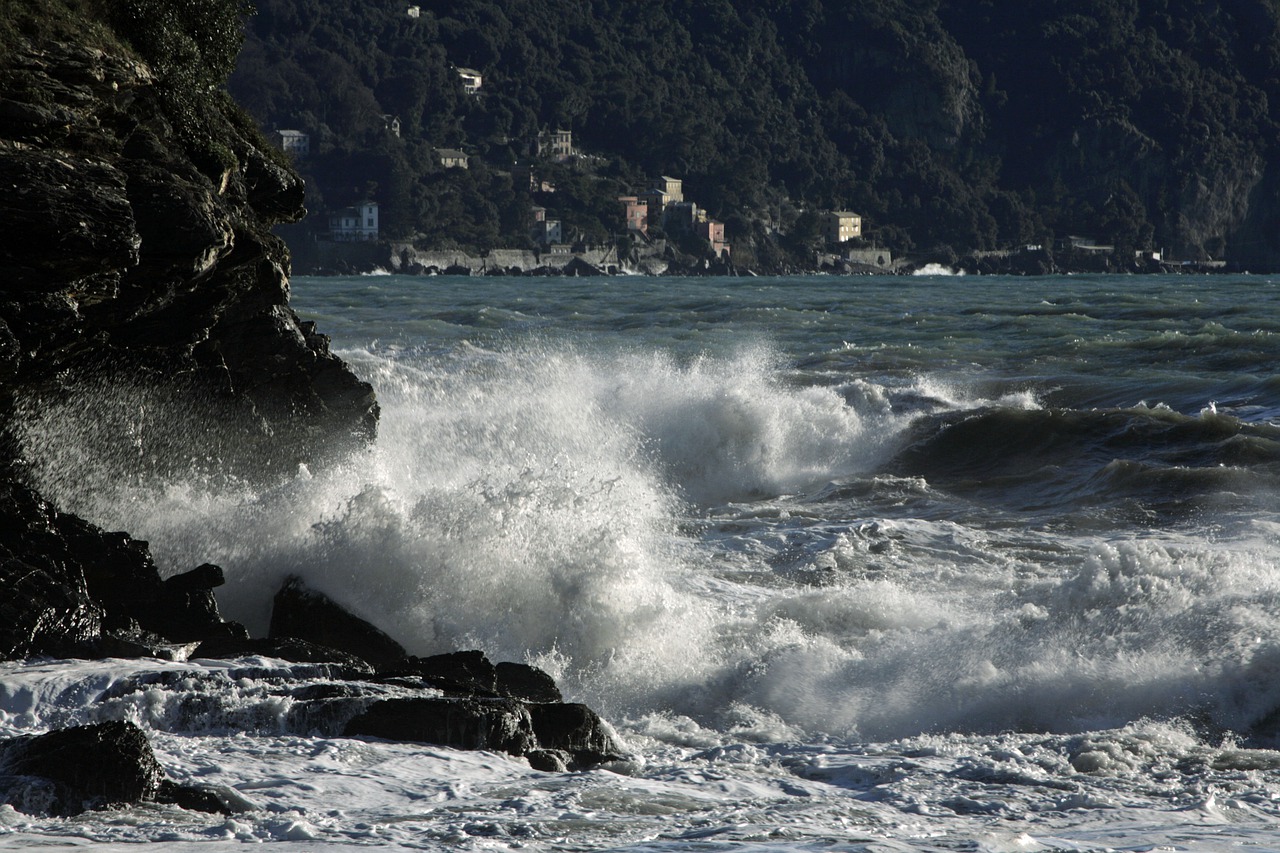 recco  liguria  sea free photo