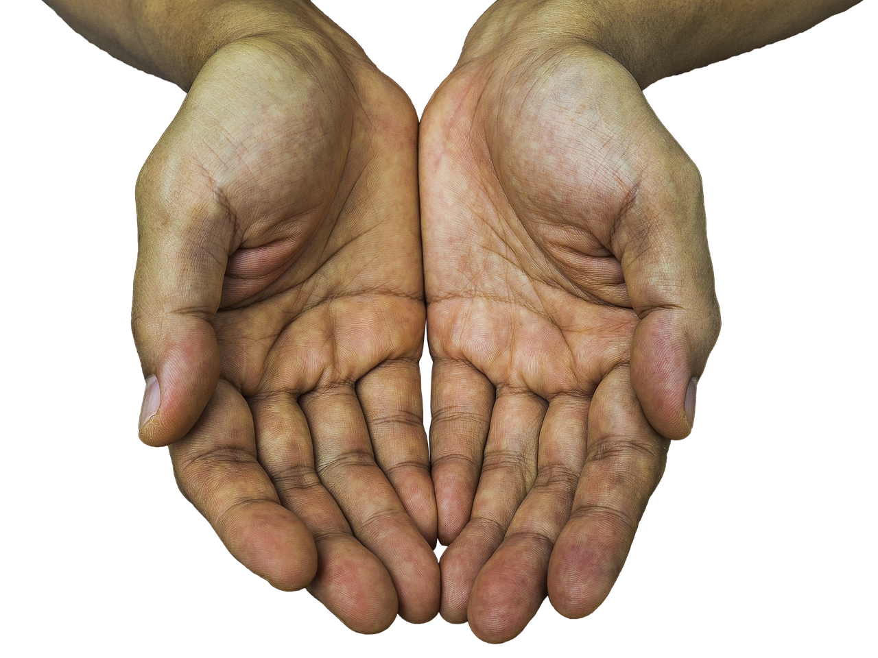receiving hands hands receive free photo