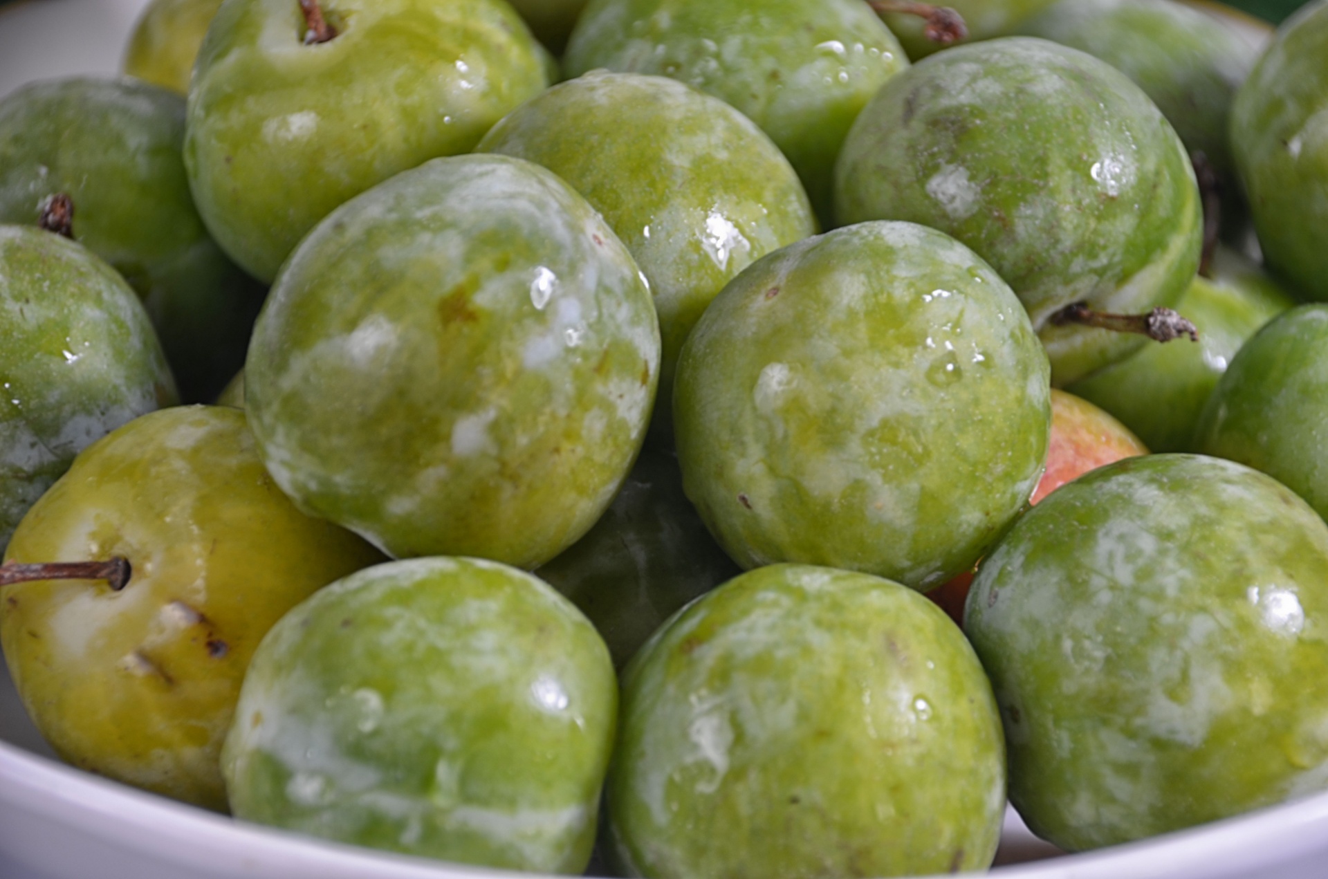 plums fruit green free photo