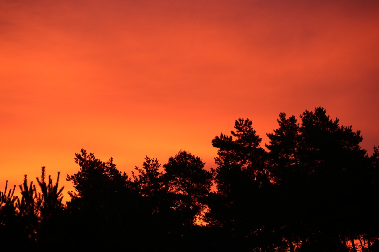 red sky morning free photo